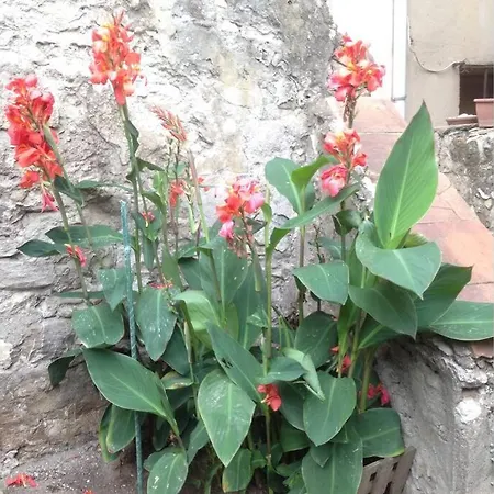 Appartamento Grand Loft 73m2 Renové Centre Vue Jardin 8 Couchages *